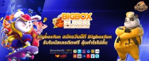 bigboxfun