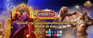 spinsoft vip